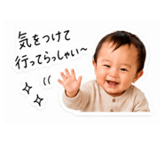 854528557