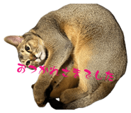 854530176