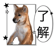 854530985