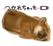 854530986