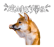 854530987