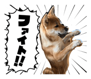 854530988