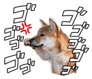 854530990