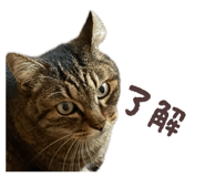854531361