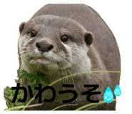 854531364