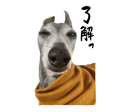 854531789