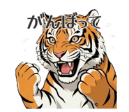 854532216