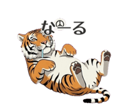 854532217