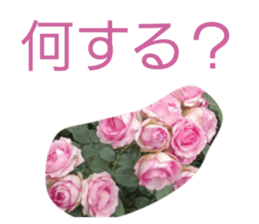 854533920