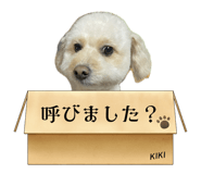 854534122