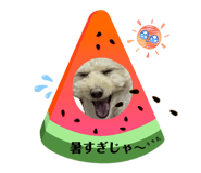 854534123