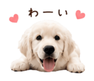 854534364