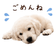 854534368