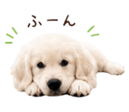 854534370
