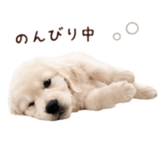854534371