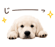 854534373