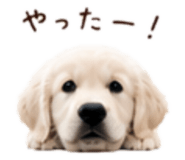 854534385