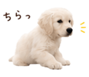 854534389