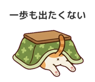 854536597