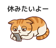 854536600