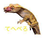 854537537