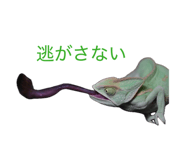 854537539