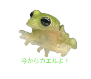 854537542