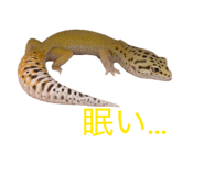 854537543