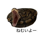 854537544