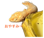 854537545