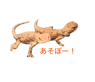 854537546
