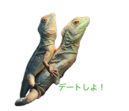854537549