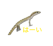 854537552