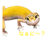 854537554
