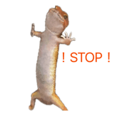 854537560