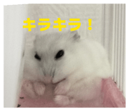 854537932