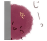 854538255