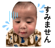 854538477