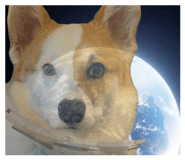 854539185