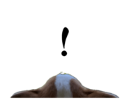 854539199