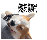 854539200