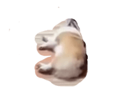 854539201