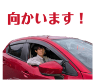 854541329