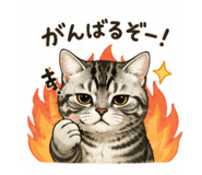 854544453