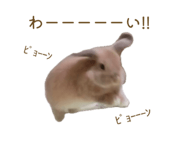 854544686