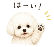 854547815