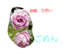 854548042