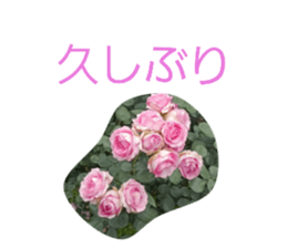 854548044