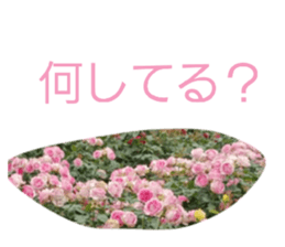 854548047