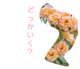 854548049